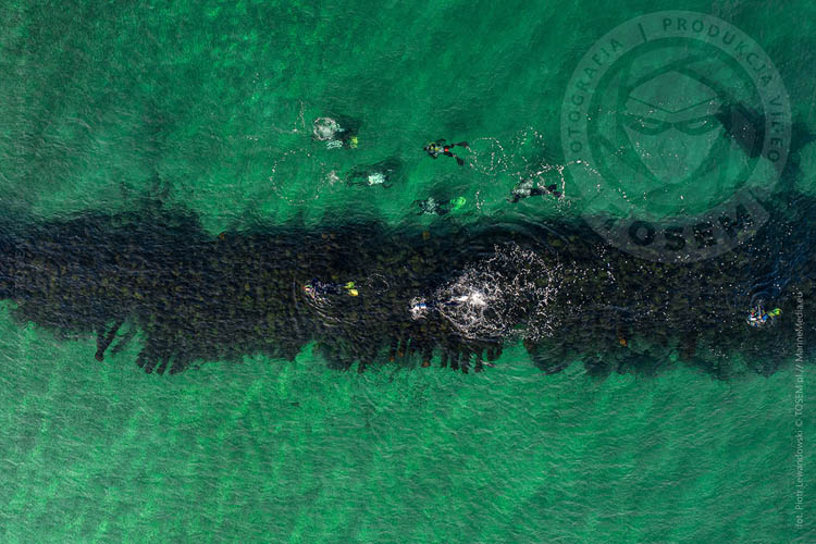 nuerkowanie gdynia torpedownia